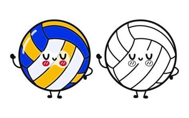 かわいい「バレーボール イラスト モルテン」—選び方と使い道ガイド